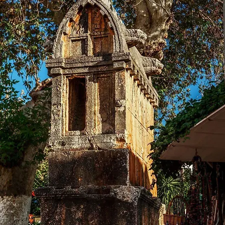 Puya Готель Каш