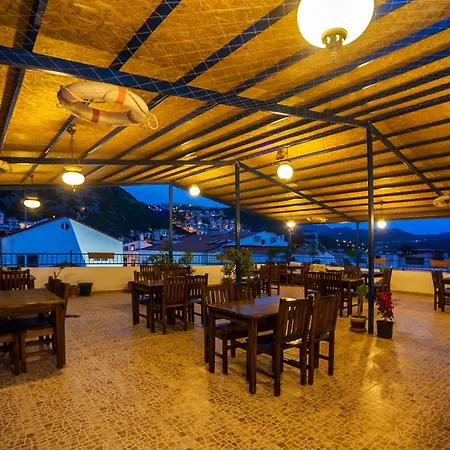 Puya Готель Каш